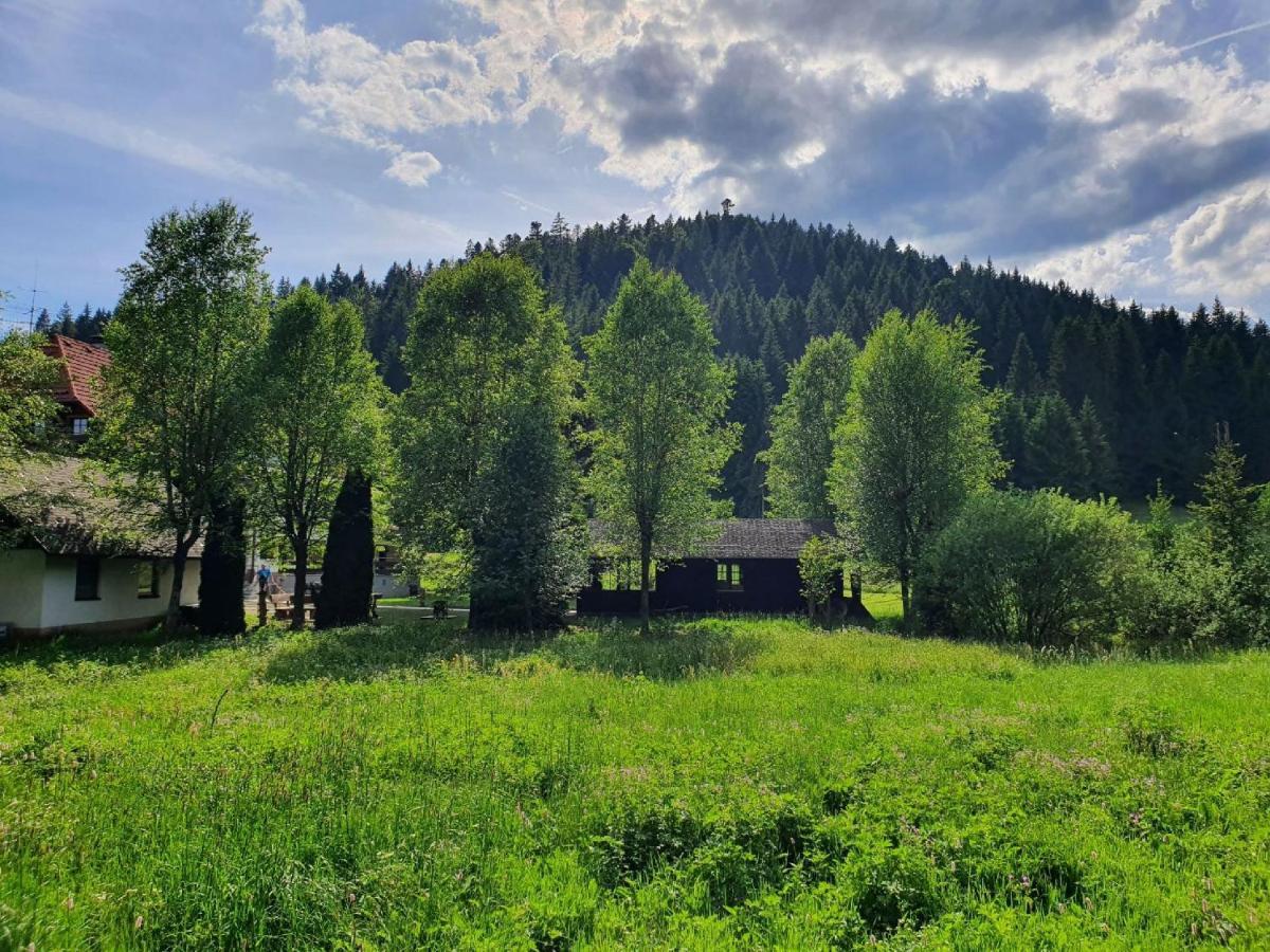 Finkenhof Hotel Schluchsee Eksteriør billede
