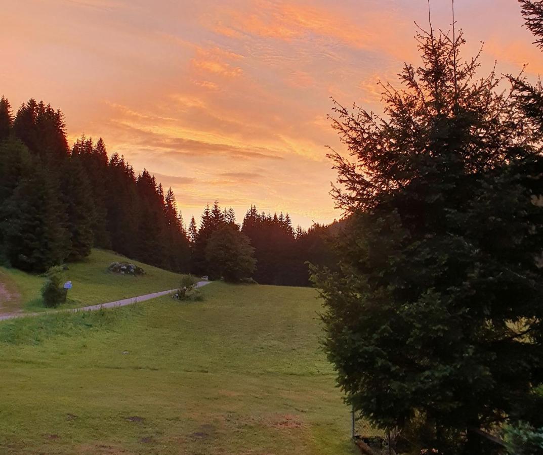 Finkenhof Hotel Schluchsee Eksteriør billede